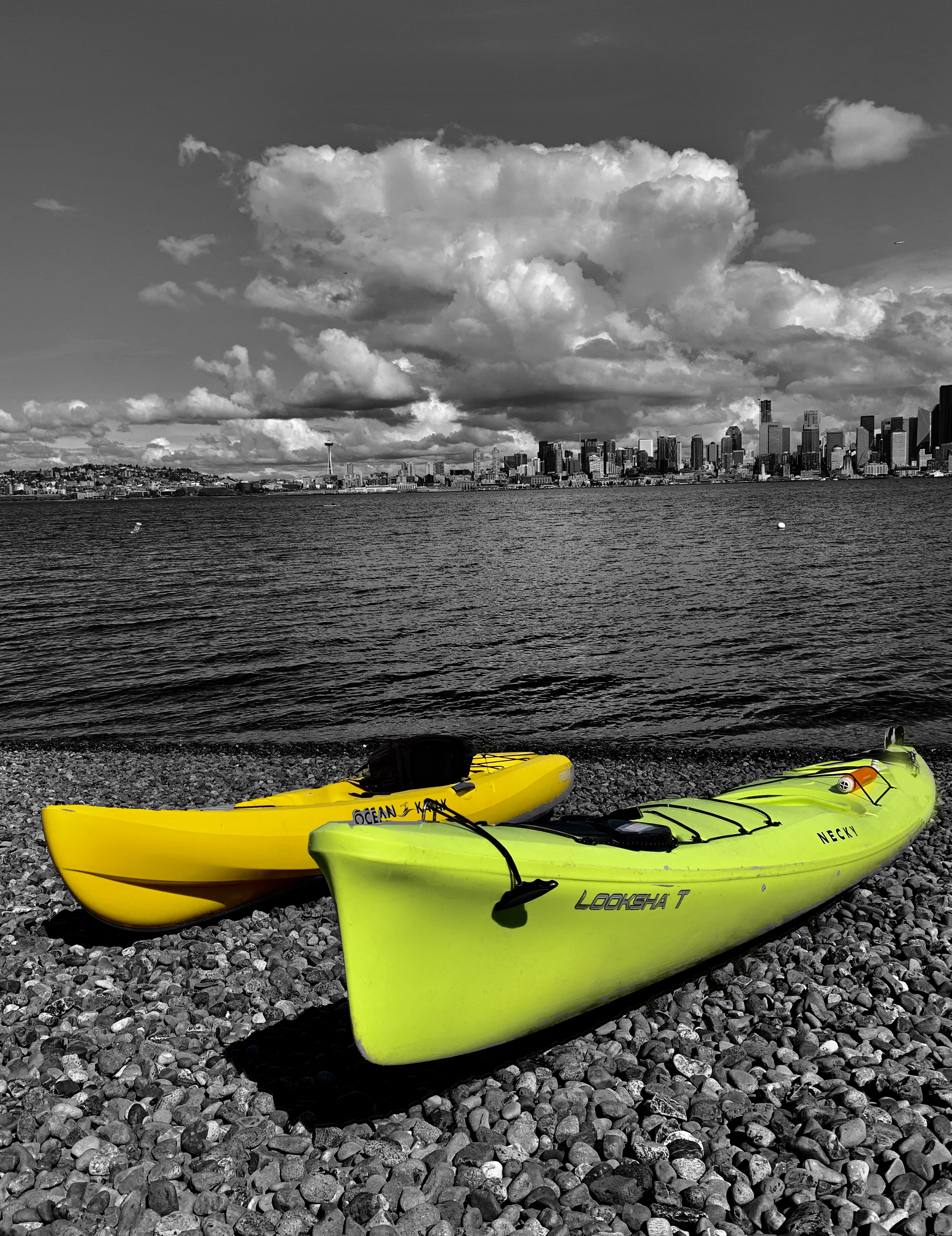 Get your paddle on! Alki Kayak Tours named as a Phase One